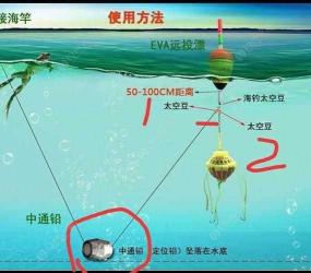鱼线太空豆绑法顺序图 主线与空心铅坠的绑法