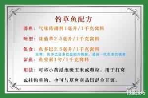 【垂钓草鱼技巧分享:如何用玉米粒泡制钓鱼饵料】