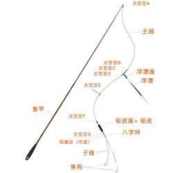 通线与主线子线：垂钓中的关键要素解析