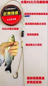 【极致钓鱼体验——大力马当手竿主线】