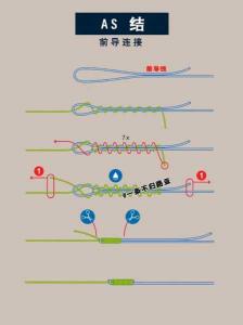 路亚主线前导线搭配:提高钓鱼成功率的关键技巧