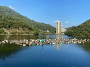 株洲渔具店全攻略:找到你的钓鱼乐园