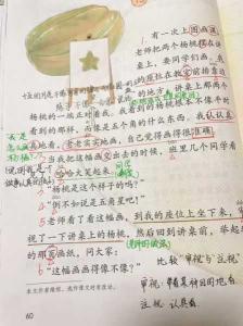 《梦境奇遇:雨瀑草鱼跃》