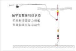 【探索筏钓技巧:如何选择适合的主线】