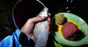 关于夜钓主线是否需要切水的探讨