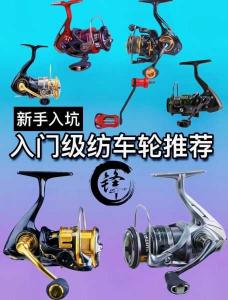 路亚主线纺车轮:选择与使用指南