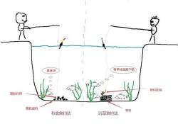 野钓草鱼钓深还是钓浅 野钓草鱼钓底还是钓浮