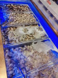 【威海晴天渔具:专业品质,海味生活的首选】