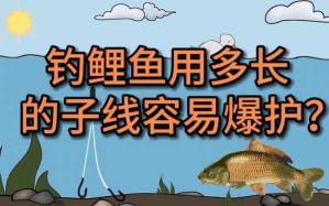 关于钓鲤鱼用多长的主线,这些经验和建议可能会帮你
