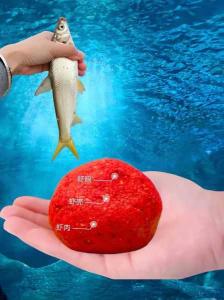 草鱼是否会对带有酒味的饵料产生兴趣?解析鱼饵与酒味的关系