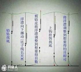 钓浮攻略：掌握技巧，垂钓大头和草鱼必备知识
