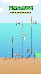 怎样判断浮漂鱼咬钩 钓草鱼调漂技巧大全
