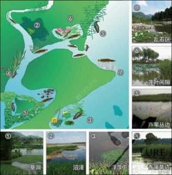 小河钓鱼主线选择攻略:几号主线最合适?