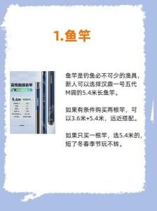 野钓草鱼必备装备:如何选择和使用鱼杆