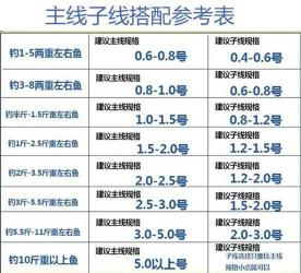 鱼线柔软度测试:挑选优质鱼线的关键步骤