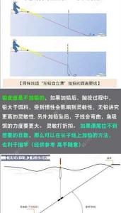 探究黑坑钓草鱼青鱼混养策略：从饵料、钓法到养殖管理全