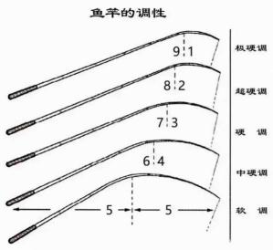 《钓鱼技巧分享:如何选择适合的钓鱼竿和主线长度》