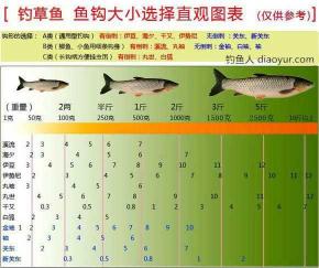 【垂钓攻略】揭秘:十几斤大草鱼用几号钩最合适?实战分享让你秒