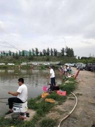 邳州钓友渔具店:垂钓爱好者的最佳目的地