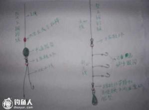 【探索筏钓技巧】:如何选择合适的主线线号,一篇文章告诉你答案