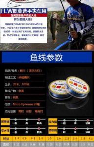 火线能否作为钓鱼主线使用:材质特性与使用考量