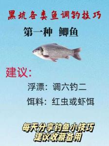 黑坑钓草鱼还是鲫鱼:策略、技巧与体验分享