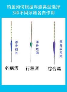 “如何选择适合鱼漂的主线:鱼漂大小与主线的完美搭配”