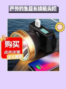 渔具灯充电器:夜间垂钓的必备装备_渔具灯充电器
