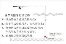 筏钓主线选择指南:了解不同线材特性,为筏钓之旅保驾护航