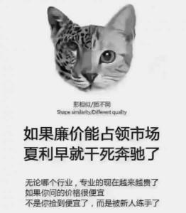 金微渔具:品质、性能与价值的完美结合